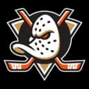 Anaheim Ducks logo