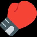 Boxing logo