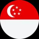 Singapore logo