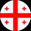 Georgia logo